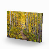 《植物》アスペン林 フォトブロック (右)