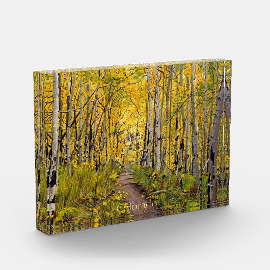 《植物》アスペン林 フォトブロック (左)