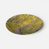 《植物》アスペン林 ペーパープレート (アングル)