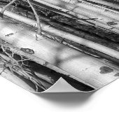 《植物》アスペン林 ポスター (角)