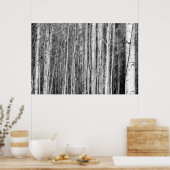 《植物》アスペン林 ポスター (キッチン)