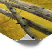 《植物》アスペン森林水彩 ポスター (角)