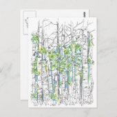 《植物》アスペン樺の木ツリーペン及びインクスケッチ ポストカード (正面/裏面)