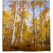 《植物》アスペン溝黄色紅葉 シャワーカーテン (正面)