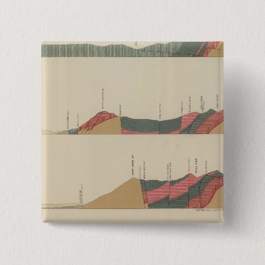 《植物》アスペン特別シート 缶バッジ (正面)