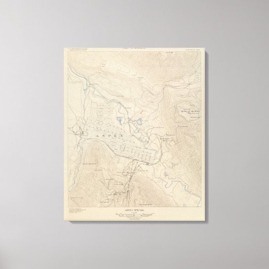 《植物》アスペン特殊 キャンバスプリント (正面)