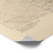 《植物》アスペン特殊 ポスター (角)