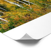 《植物》アスペン秋 ポスター (角)