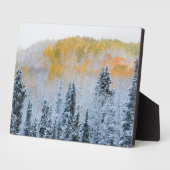 《植物》アスペン紅葉&フレッシュスノーキーブラー峠 フォトプラーク (側面)