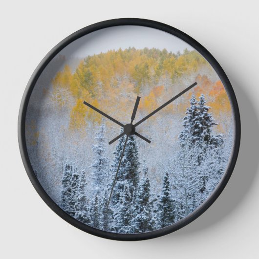 《植物》アスペン紅葉&フレッシュスノーキーブラー峠 壁時計 (正面)