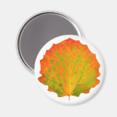 《植物》アスペン紅葉 マグネット (正面/裏面)