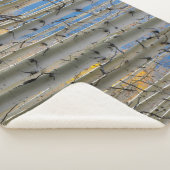 《植物》アスペン群 |コロラドロッキー山脈 シェルパブランケット (3/4)