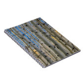 《植物》アスペン群 |コロラドロッキー山脈 ノートブック (右側)