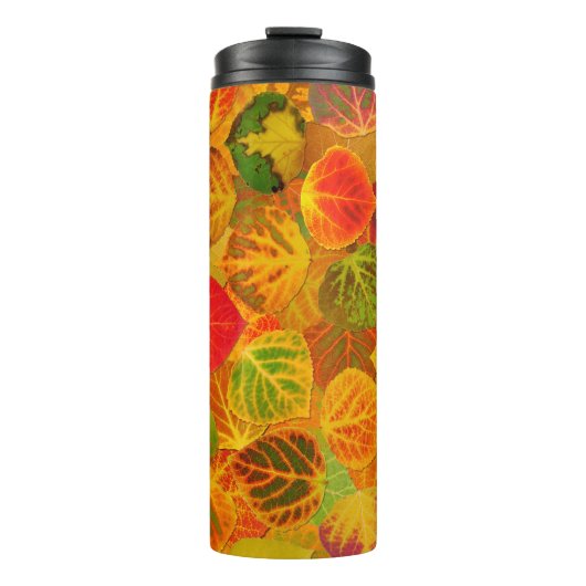 《植物》アスペン葉ズコラージュ無地のメドレー1 タンブラー (正面)