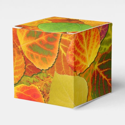 《植物》アスペン葉ズコラージュ無地のメドレー1 フェイバーボックス (正面サイド)