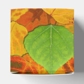 《植物》アスペン葉ズコラージュ無地のメドレー1 フェイバーボックス (上部)