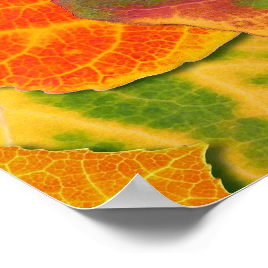 《植物》アスペン葉ズコラージュ無地のメドレー1 ポスター (角)