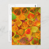 《植物》アスペン葉ズコラージュ無地のメドレー1 ポストカード (正面/裏面)