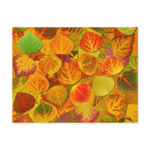 《植物》アスペン葉ズコラージュ無地のメドレー1