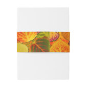 《植物》アスペン葉ズコラージュ無地のメドレー1 招待状ベリーバンド (裏面例)