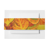 《植物》アスペン葉ズコラージュ無地のメドレー1 招待状ベリーバンド (正面例)