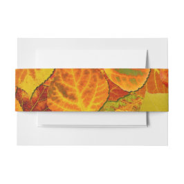 《植物》アスペン葉ズコラージュ無地のメドレー1 招待状ベリーバンド