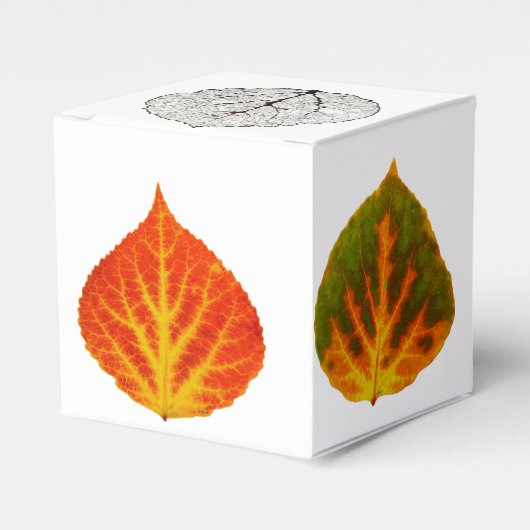 《植物》アスペン葉メドレー フェイバーボックス (正面サイド)