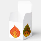 《植物》アスペン葉メドレー フェイバーボックス (オープン)