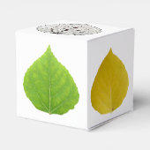 《植物》アスペン葉メドレー フェイバーボックス (裏面サイド)