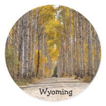 《植物》アスペン路地イン秋