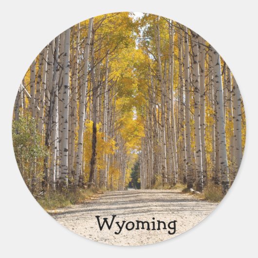 《植物》アスペン路地イン秋 ラウンドシール (正面)