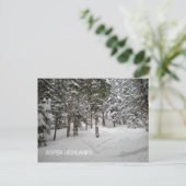 《植物》アスペン高地はがき ポストカード (スタンド正面)