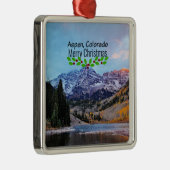 《植物》アスペン、コロラドクリスマス メタルオーナメント (右)