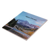 《植物》アスペン、コロラド州の風景写真、 タイル (側面)