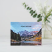 《植物》アスペン、コロラド ポストカード (スタンド正面)