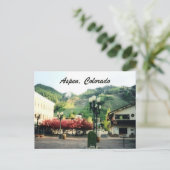 《植物》アスペン、コロラド ポストカード (スタンド正面)