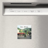 《植物》アスペン、コロラド マグネット (インサイチュ (食洗機))