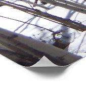 《植物》アスペン ポスター (角)