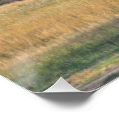 《植物》アスペン ポスター (コーナー)