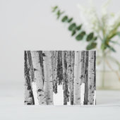 《植物》アスペン ポストカード (スタンド正面)