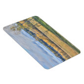 《植物》アスペン マグネット (右側)