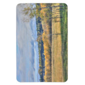 《植物》アスペン マグネット (縦)