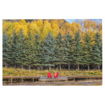 《植物》アスペン