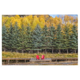 《植物》アスペン メタルプリント