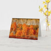 《植物》アスペンKolob Zion NPユタ語あいさつ空白のきカード カード (黄色い花)