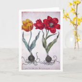 植物 カード (黄色い花)