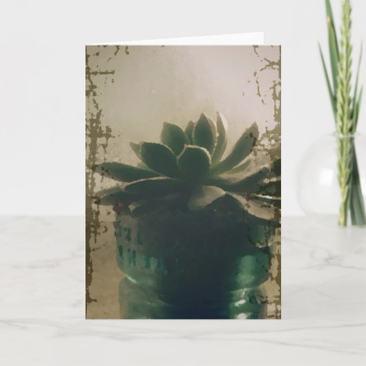 植物 カード (正面)