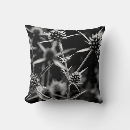 植物 クッション (正面)