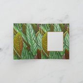 植物/ジエフェンバキア熱帯性ジャングル植物 サンキューカード (内部)