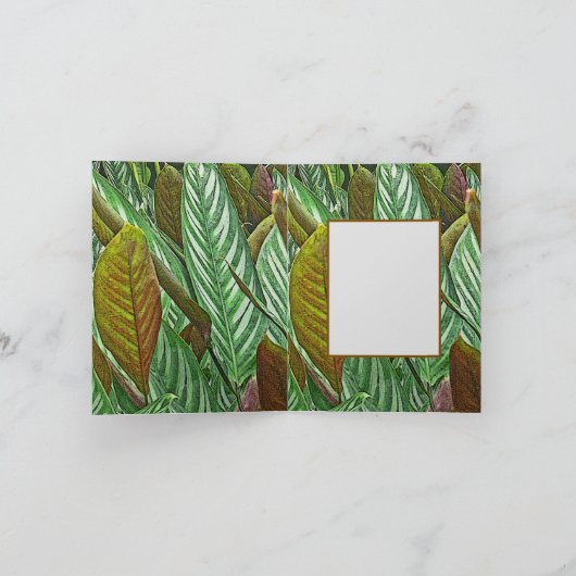 植物/ジエフェンバキア熱帯性ジャングル植物 サンキューカード (内部)